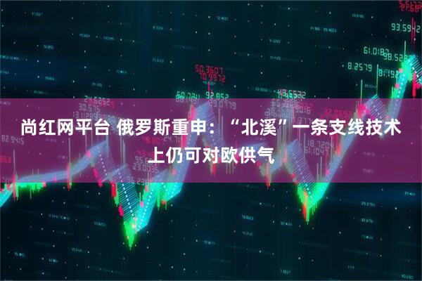 尚红网平台 俄罗斯重申：“北溪”一条支线技术上仍可对欧供气