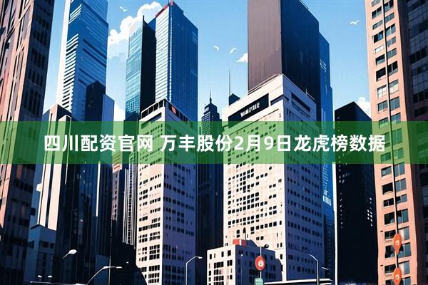 四川配资官网 万丰股份2月9日龙虎榜数据